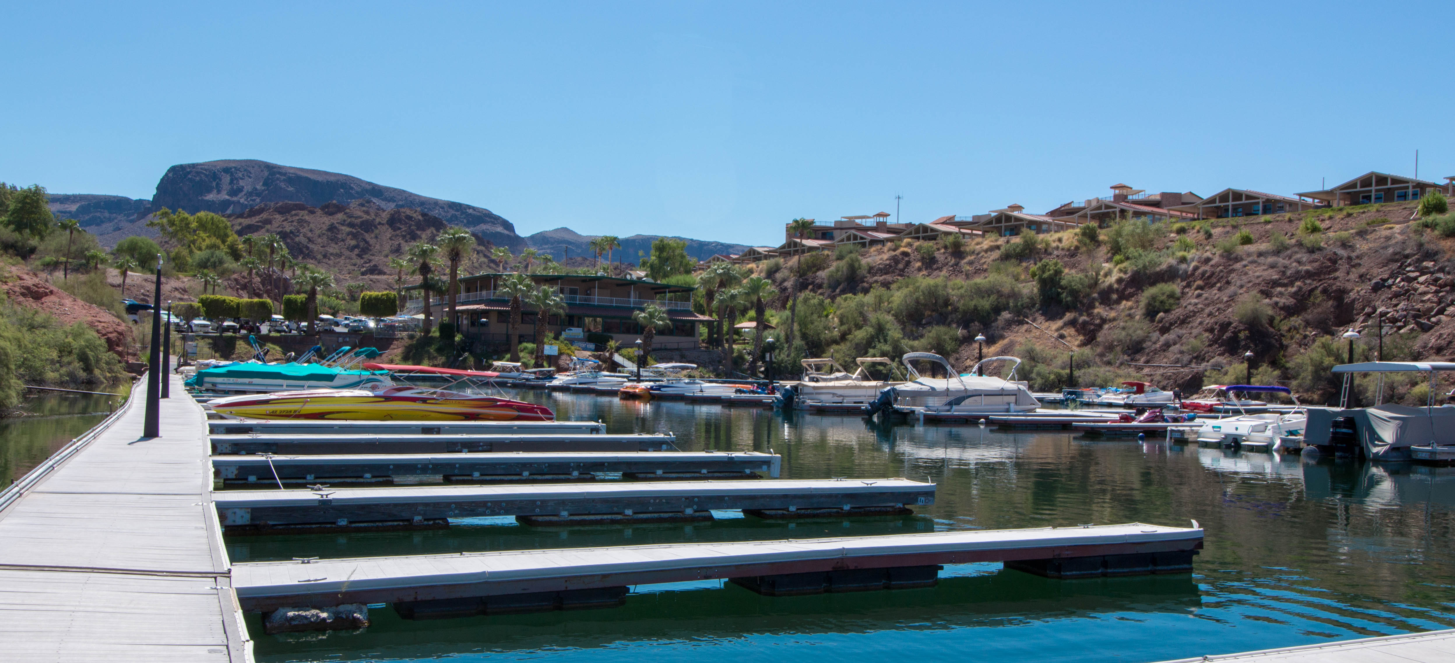 Havasu Springs-3939