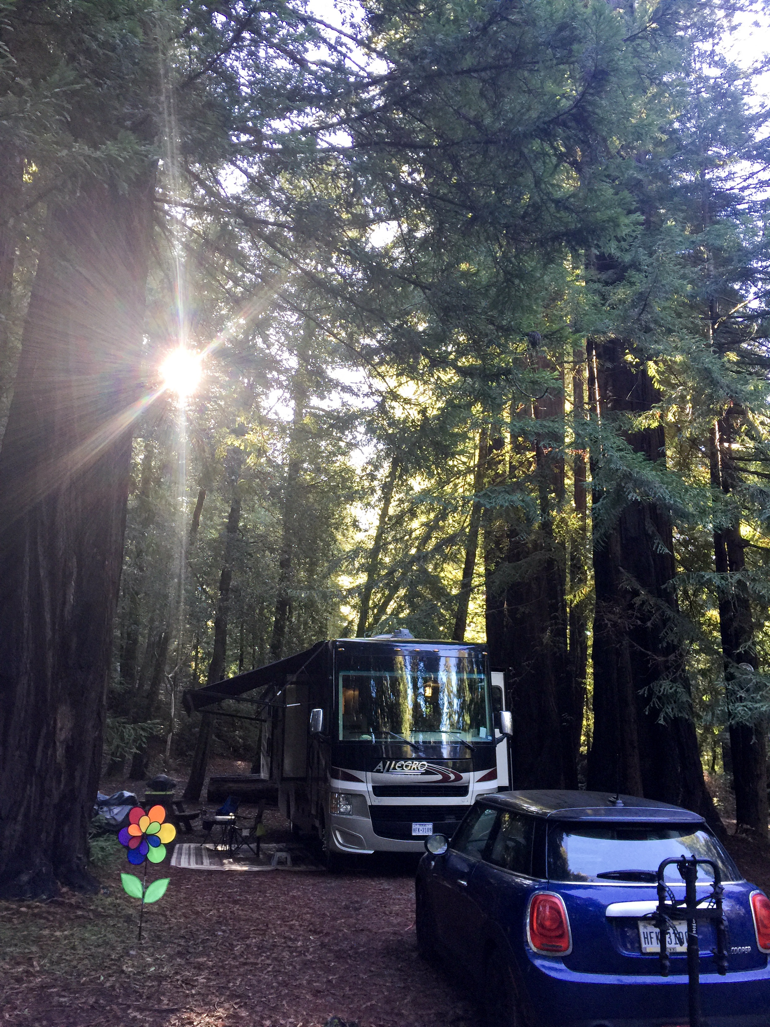 3f5e1c2a-bd3a-4e3a-90c9-0bfaf3de348f